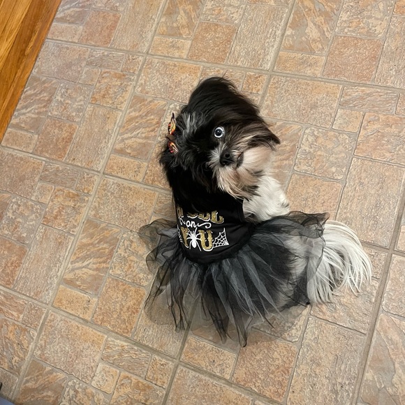 Meet your Posher, Mary - Picture 2 of 2